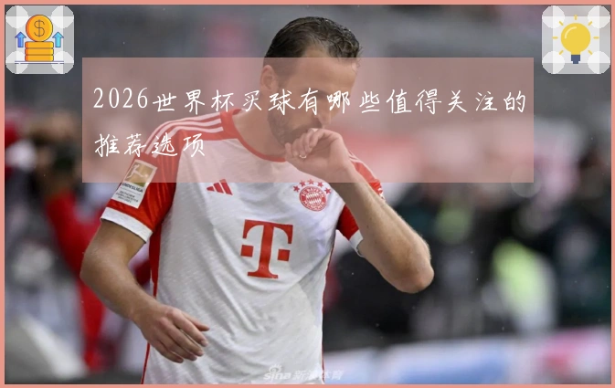 2026世界杯买球有哪些值得关注的推荐选项