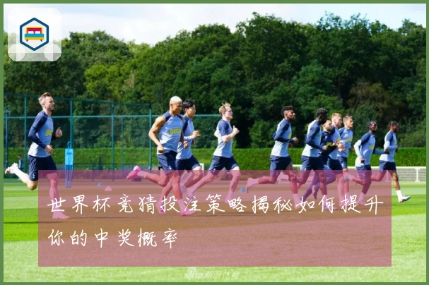 世界杯竞猜投注策略揭秘如何提升你的中奖概率